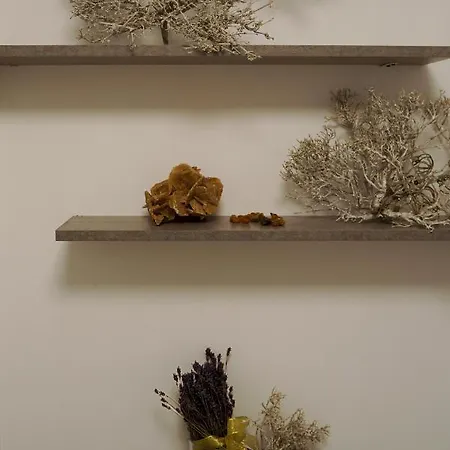 Apartament Wielunska. Spedz Urlop W Najpiekniejszej Dzielnicy Gdyni! *